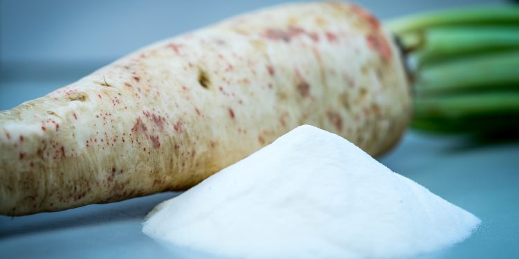 Göbek yağlarını erittiği bilimsel olarak kanıtlandı.