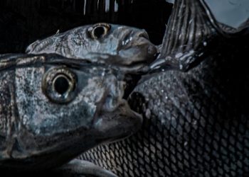 Saygun Dura’nın “ARADA” Sergisi 16 Ocak’ta CerModern’de