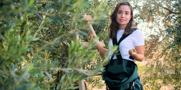 İyi zeytinyağı seçmenin püf noktaları