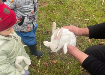 Baharda çocuk – aile aktiviteleri ile Şifa Köyü daha renkli