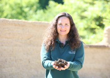 Şifa Köyü’nde Organik Döngünün Kalbi: Kompost Üretimi