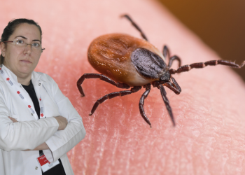 Keneler Bu Yaz da Pusuda! Uzmanlardan Hayat Kurtaran Öneriler