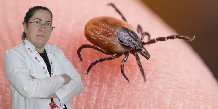 Keneler Bu Yaz da Pusuda! Uzmanlardan Hayat Kurtaran Öneriler