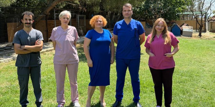 Felçli, yaşlı ve ağır hasta hayvanlar için ENCANDER