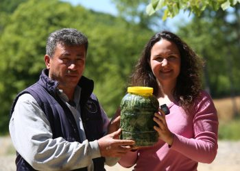 Organik Tarımda Böceklere Karşı Doğal Çözüm: Isırgan Otu Turşusu