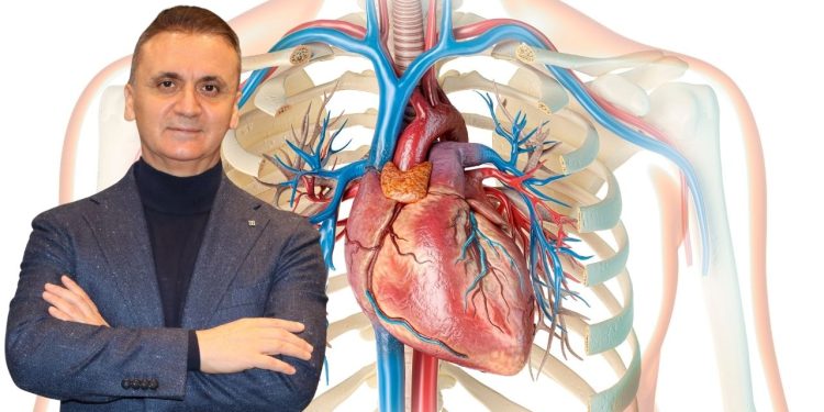 Doç. Dr. İsmail Ateş: Ameliyatsız triküspit kapak tedavisinde Türkiye öncü konumda